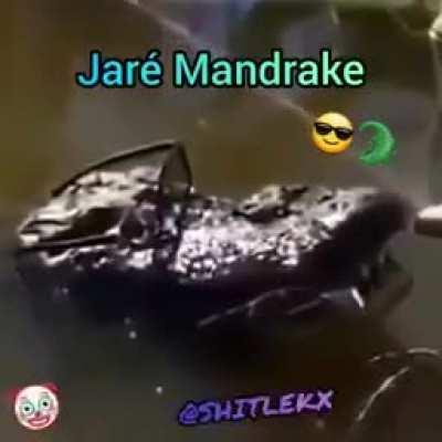 Jeferson estilus😎🐊🐊