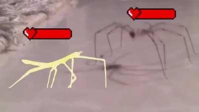 The colossal enemy spider