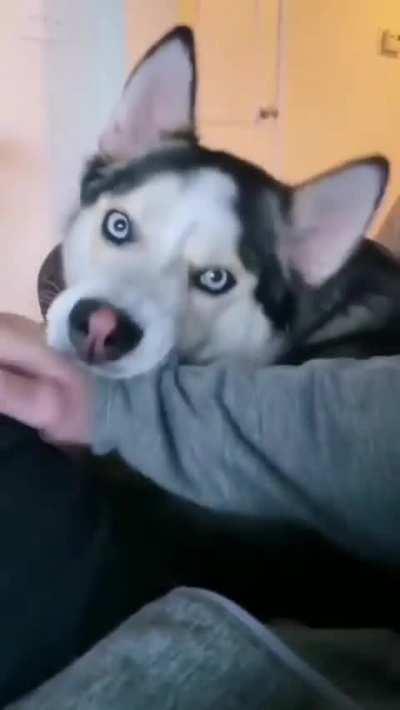 That side eye at the beginning