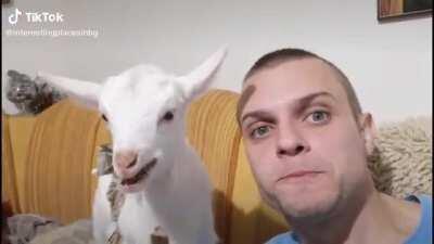 Albanian relationship goals🇦🇱🇦🇱👐👐