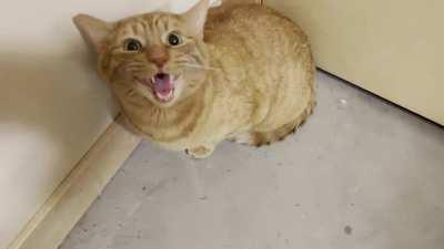 1 am poopy accident = bath time for Ernie