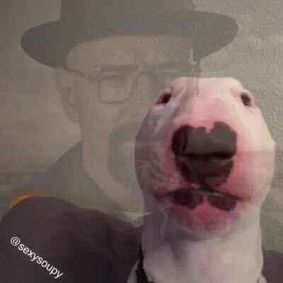 The moment Walter became Heisenberg