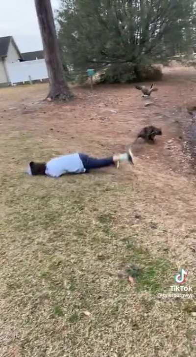 Say no to retractable leashes! lol