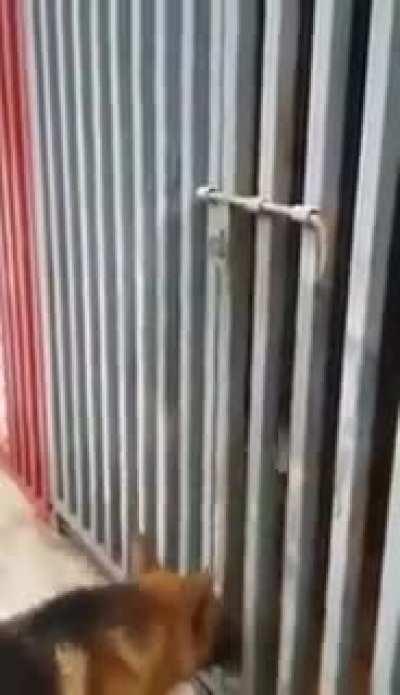 The greatest motivation