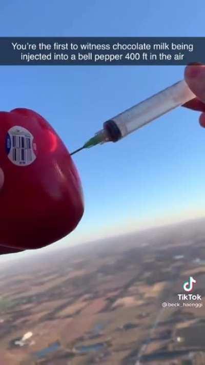 It's nice to see that Woody's Lab is back