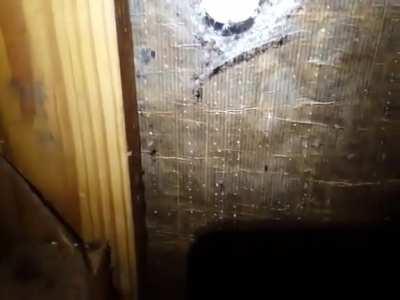 AAAAAAAAAAAAAAAAAAAAAAAAAAAAAH