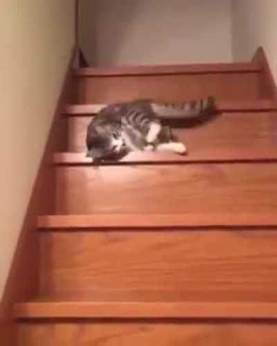 This is me every morning dragging myself out the house to go to work! 😅