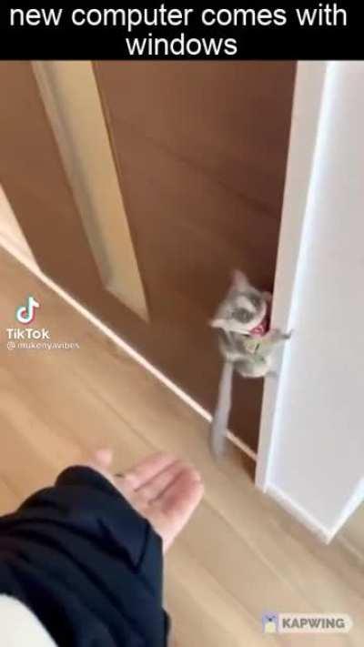 right after taping over the camera