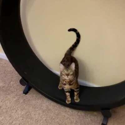 Mom. Mom! MOM! Are you watching??