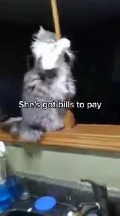 I would pay to watch this lmao 🤣