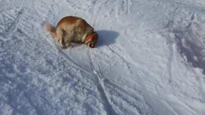 Sliding down the snowy hill