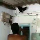 Just lemme lay it here real quick.