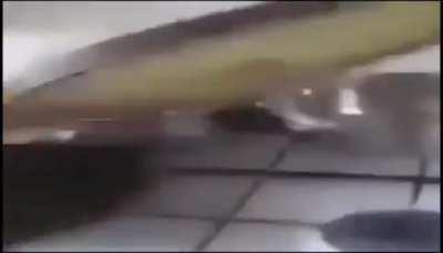 Kurwa jebana na komendzie