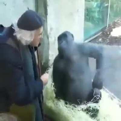 Muquinha trocando uma ideia com Bluezão do futuro