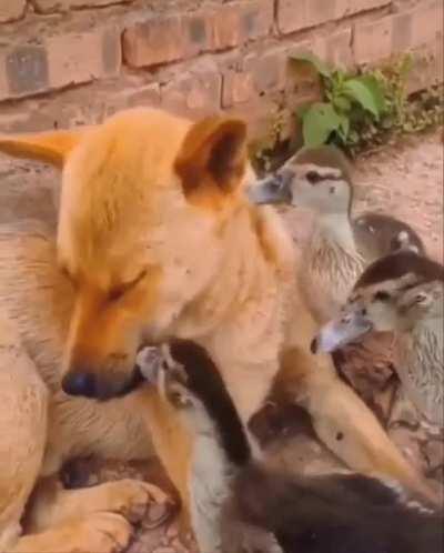 Excuse me? I'm not a food