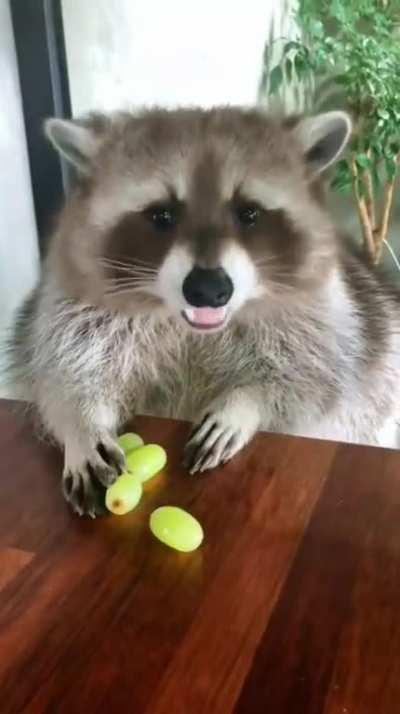 No touch! These are mine.