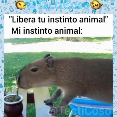 El instinto animal de todos los uruguayos