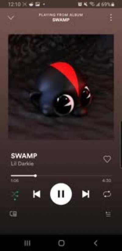 reversed message in SWAMP