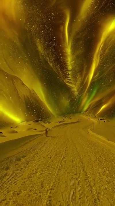 oh my god that's great