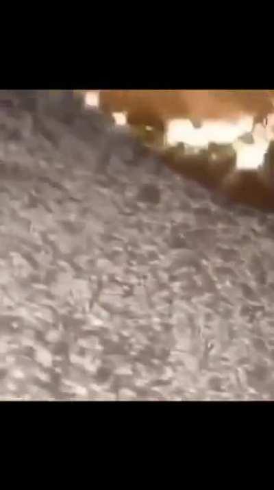 throw ur hands in the air