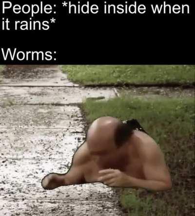 Ah what a beautiful life