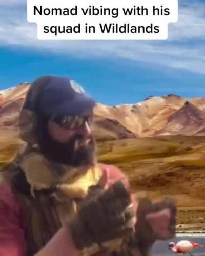 Even with the addition of AI teammates I feel unsatisfied