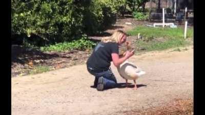 We need more Kathy content and less Karen content