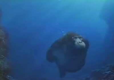 Reject humanity return to sea