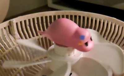 Bocchi the slug spinning on a fan to free bird