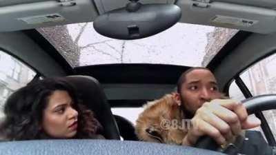 * Входящий звонок от Королевы «Глубокая глотка»