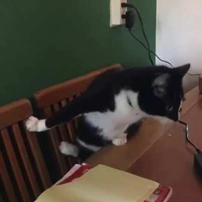 Let me just climb up on this table and......