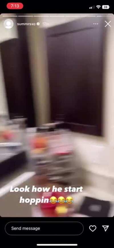 really bought a fuckin lemur 🤣