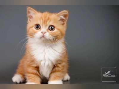 No lo nieguen,es verdad