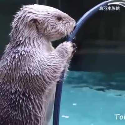 Getting ready for his pool party