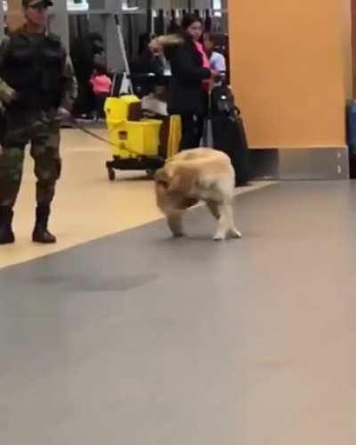 Highly trained Airport Security