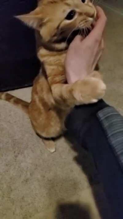 Slow-mo Airplane attack on 