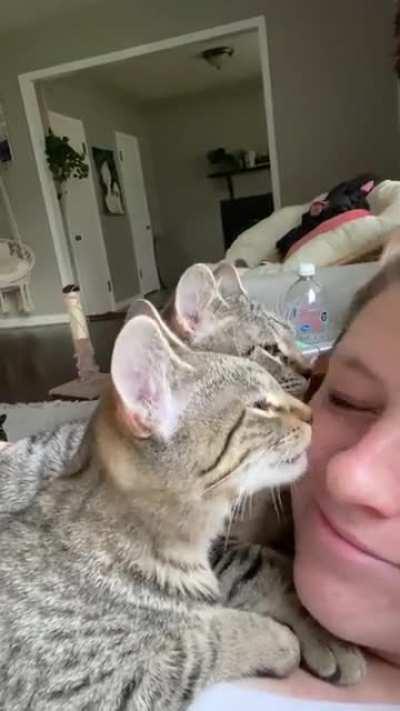 Anytime I sit or lay down, they come lay on my chest. :)