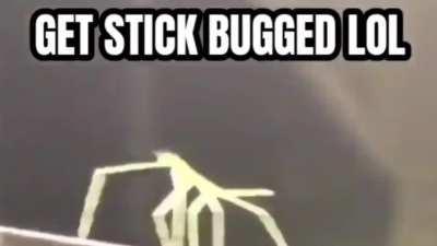 I got cars in creative!