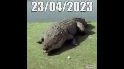 !remindme 23/04/2023