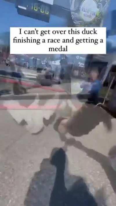 Duck get medal after finishing the marathon