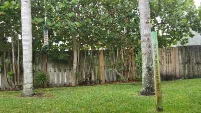 4th of July Rainstorm