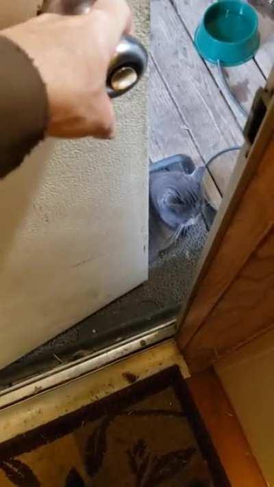 Sorry, can't come in today...