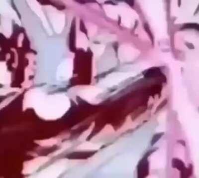 Lo sentí, lo sentí...