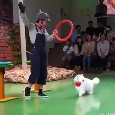 Give me a few seconds