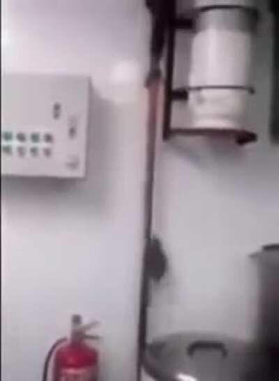 Webadas - Video #7046