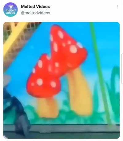 🍄🥴
