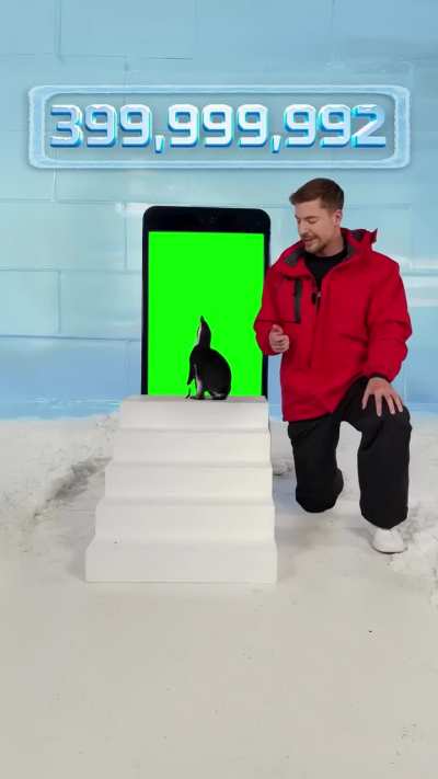 MrBeast Makes Penguin Subscribe Green Screen Meme Template