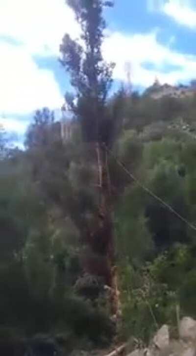 From the Prometheus school of running away from things