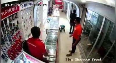 This cow really hates cellphones