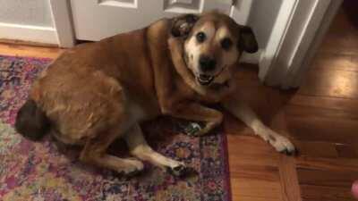 Every single time I walk by.